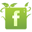 follow me on Facebook!
